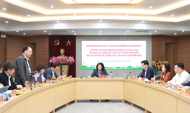 Gia Lam Commune urged for greater development in coming periods- Ảnh 2.