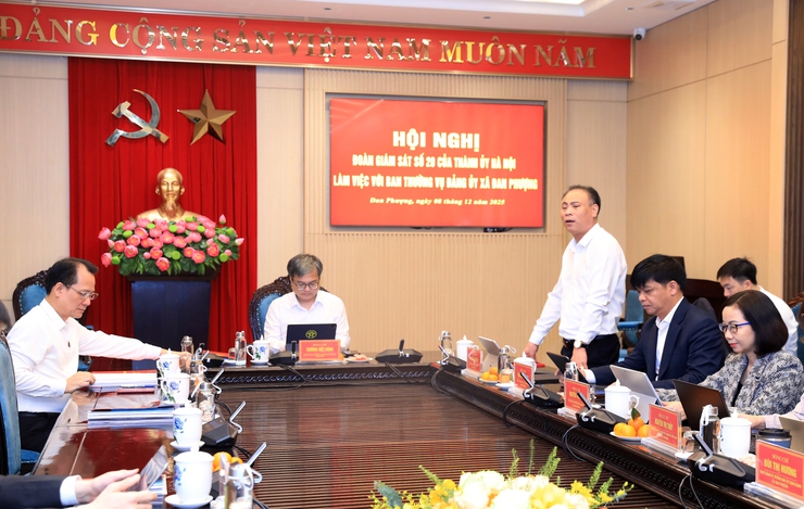 Hanoi Vice Chairman Truong Viet Dung holds meetings with leaders of Dan Phuong Commune- Ảnh 2.