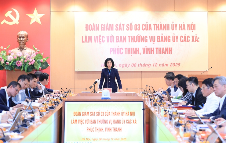 Hanoi addresses key issues at Phuc Thinh, Vinh Thanh communes- Ảnh 1.