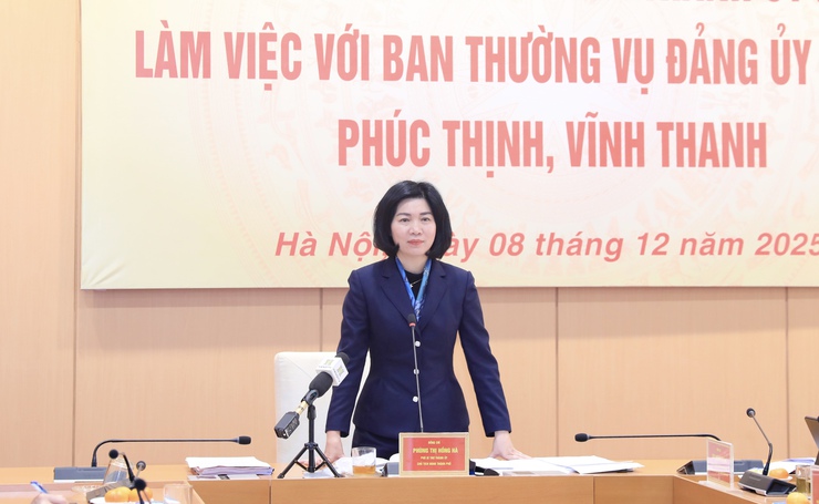 Hanoi addresses key issues at Phuc Thinh, Vinh Thanh communes- Ảnh 2.