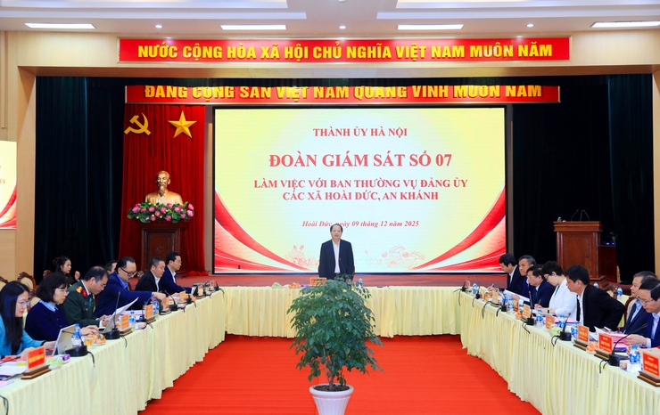 Giám sát công tác lãnh đạo, chỉ đạo, tổ chức thực hiện một số chuyên đề trọng tâm, cấp bách tại xã Hoài Đức, An Khánh- Ảnh 1.