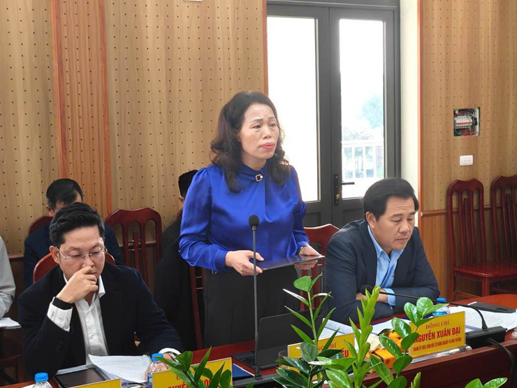 Đoàn giám sát số 15 của Ban Thường vụ Thành ủy Hà Nội làm việc tại xã Trung Giã và Đa Phúc- Ảnh 4.