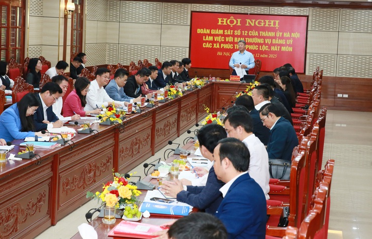 Hanoi delegation works with Phuc Tho, Phuc Loc and Hat Mon communes- Ảnh 2.