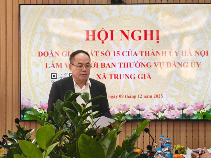 Đoàn giám sát số 15 của Ban Thường vụ Thành ủy Hà Nội làm việc tại xã Trung Giã và Đa Phúc- Ảnh 6.