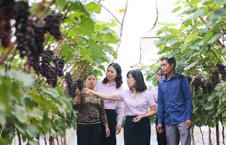Nhiệm kỳ 2020-2025: Bước phát triển đột phá của Đảng bộ Ngân hàng Chính sách xã hội thành phố Hà Nội- Ảnh 3.