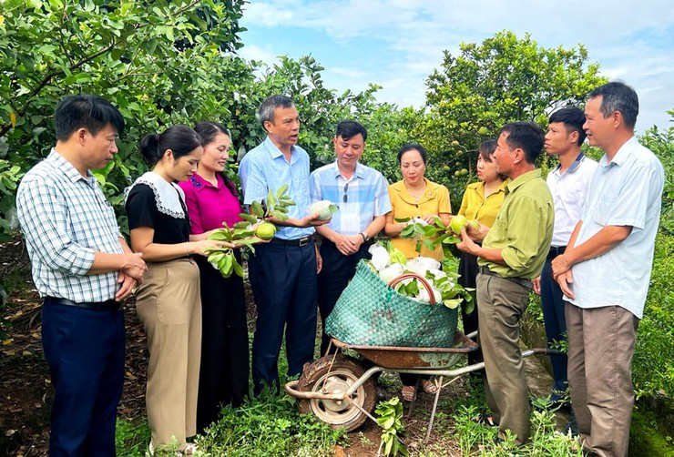 Hoài Đức: Tiếp tục phát triển bền vững, hướng tới nông thôn mới kiểu mẫu- Ảnh 3.