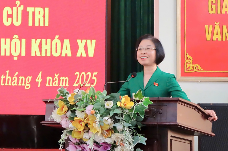 Đại biểu Quốc hội thành phố Hà Nội tiếp xúc cử tri các huyện: Đan Phượng, Phúc Thọ, Ba Vì và thị xã Sơn Tây- Ảnh 3.