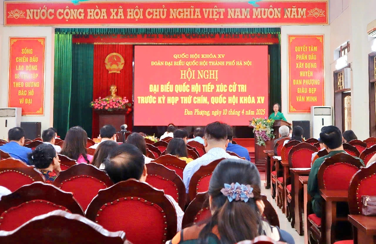 Đại biểu Quốc hội thành phố Hà Nội tiếp xúc cử tri các huyện: Đan Phượng, Phúc Thọ, Ba Vì và thị xã Sơn Tây- Ảnh 1.