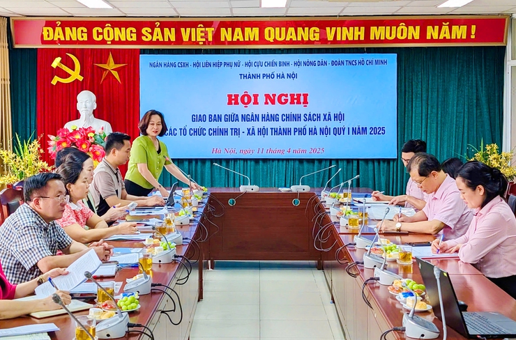Hơn 28.500 lượt hộ nghèo, hộ cận nghèo và các đối tượng chính sách được vay vốn- Ảnh 2.