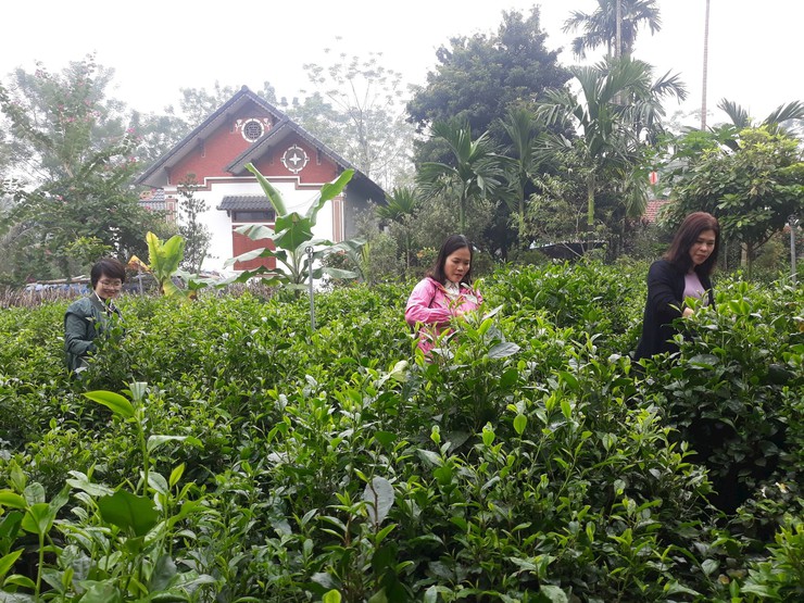 Ngành Du lịch Thủ đô triển khai nhiều hoạt động hấp dẫn du khách dịp nghỉ lễ 30/4 và 1/5- Ảnh 4.