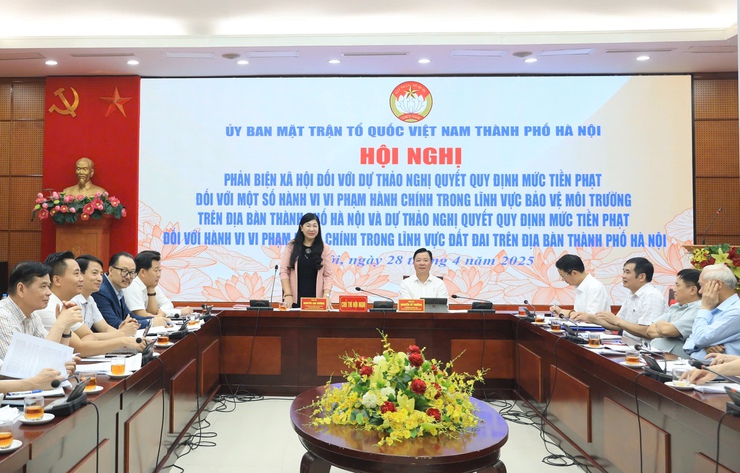 Đề xuất tăng gấp đôi mức xử phạt một số hành vi vi phạm lĩnh vực bảo vệ môi trường và đất đai- Ảnh 1.