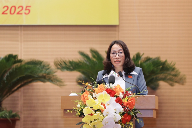 HĐND Thành phố thông qua quy định mức phạt vi phạm về môi trường và đất đai theo Luật Thủ đô- Ảnh 3.