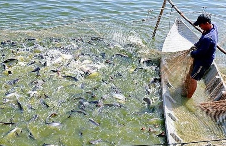 Nông, lâm nghiệp và thủy sản Hà Nội: Đà tăng trưởng ổn định- Ảnh 3.