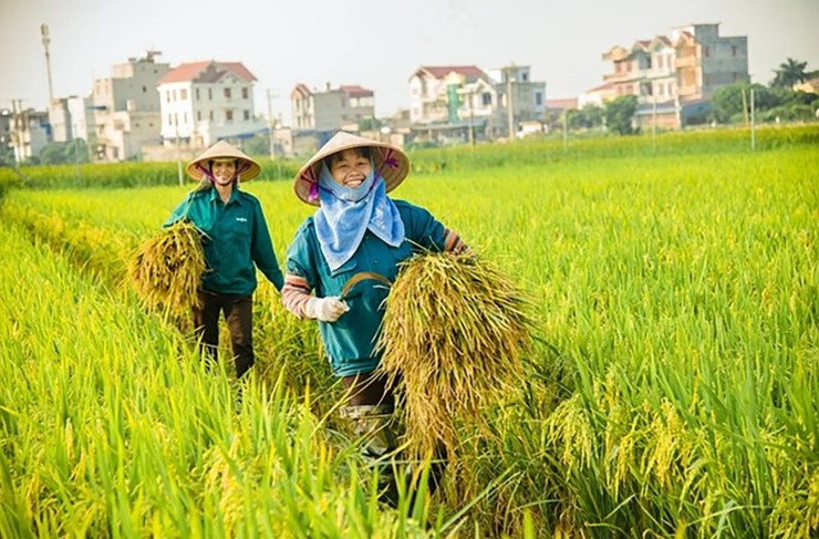 Nông, lâm nghiệp và thủy sản Hà Nội: Đà tăng trưởng ổn định- Ảnh 1.