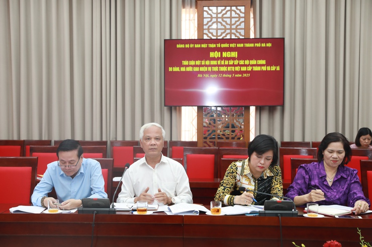 Sắp xếp các hội quần chúng đảm bảo tinh gọn, hoạt động hiệu quả- Ảnh 2.