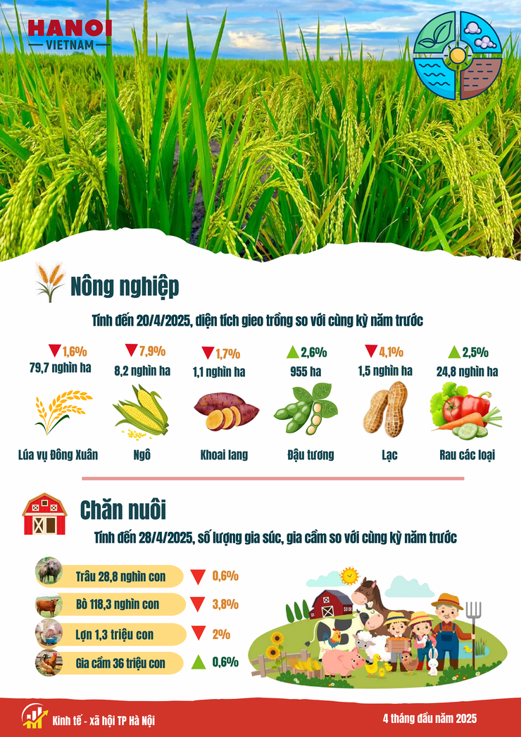 Báo cáo tình hình kinh tế - xã hội tháng Tư và 4 tháng đầu năm 2025 của Chi cục Thống kê Hà Nội- Ảnh 2.