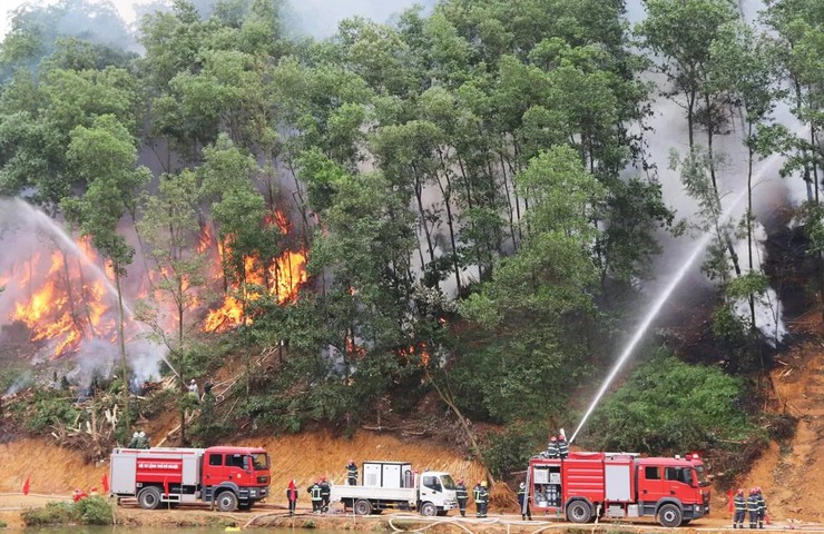 Hà Nội: Gần 80.000 ha lúa Xuân đã được gieo trồng- Ảnh 2.