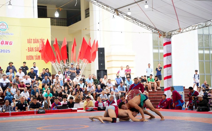 Hanoi wins national traditional wrestling tournament- Ảnh 1.