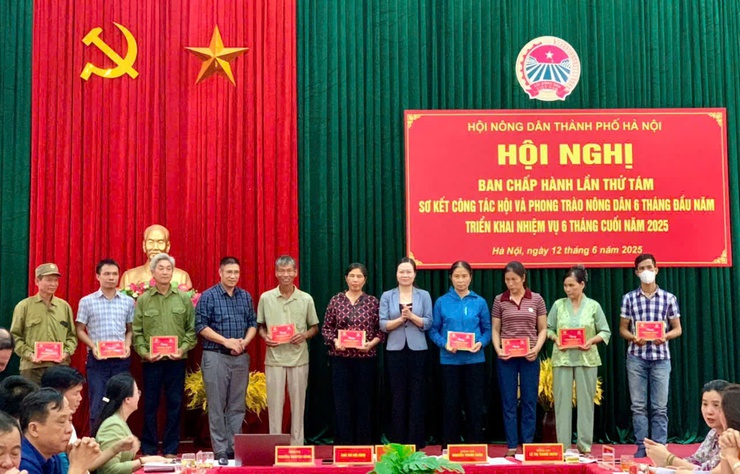 Phong trào nông dân Thủ đô tiếp tục khẳng định vai trò nòng cốt trong phát triển nông thôn mới- Ảnh 3.