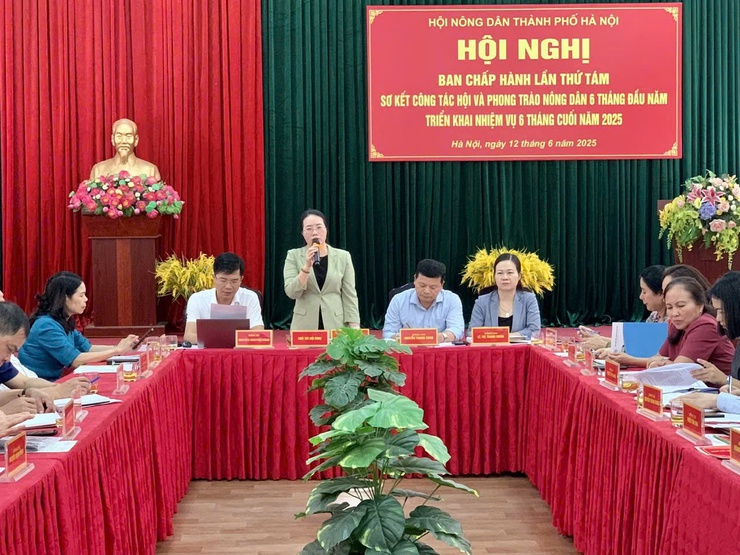 Phong trào nông dân Thủ đô tiếp tục khẳng định vai trò nòng cốt trong phát triển nông thôn mới- Ảnh 1.