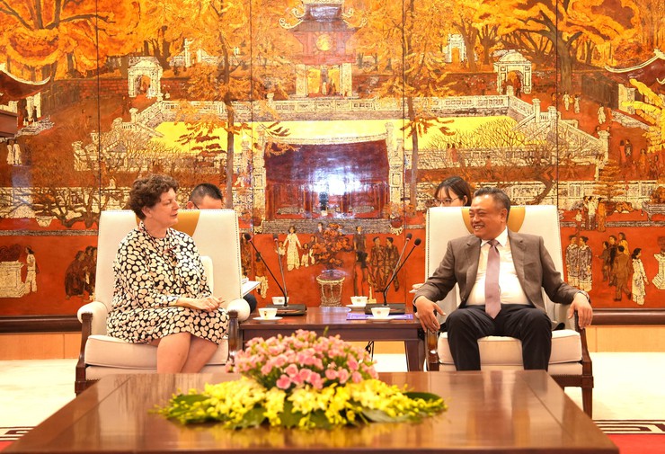 Hanoi Mayor meets German Ambassador- Ảnh 2.