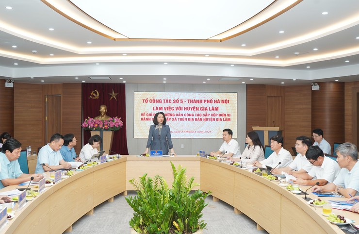 Hanoi deputy chairwoman works with Gia Lam District on commune-level administrative reorganization- Ảnh 1.