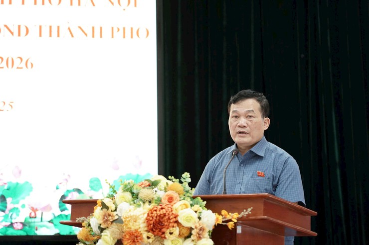 Cử tri đề nghị cấp kinh phí cho xã Thường Tín từ nguồn đấu giá quyền sử dụng đất- Ảnh 1.