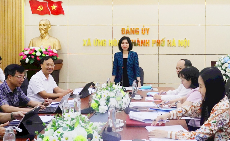 Phó Chủ tịch Thường trực HĐND Thành phố Phùng Thị Hồng Hà kiểm tra công tác chuẩn bị Đại hội tại xã Ứng Hòa- Ảnh 1.