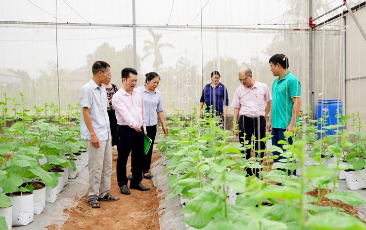 Nguồn vốn tín dụng chính sách: “Đòn bẩy” phát triển sản phẩm OCOP và làng nghề Hà Nội- Ảnh 2.