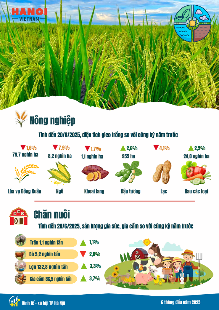Tình hình kinh tế - xã hội tháng Sáu và 6 tháng đầu năm 2025 của Thủ đô Hà Nội- Ảnh 3.