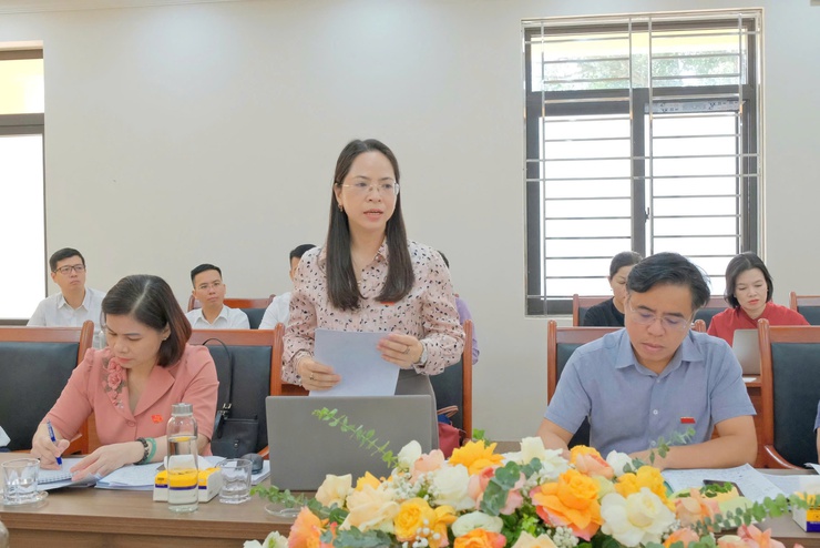 Thường trực HĐND Thành phố khảo sát về tổ chức và hoạt động của HĐND các xã Yên Xuân, Hạ Bằng- Ảnh 3.
