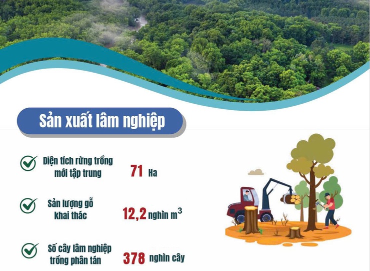 Sản xuất nông nghiệp Thủ đô đạt khá, công nghiệp tăng tốc- Ảnh 2.