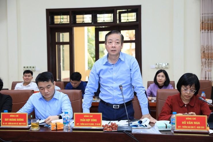 HĐND Thành phố giám sát công tác chuẩn bị bầu cử tại các xã: Dương Hòa, Hoài Đức, Sơn Đồng, An Khánh- Ảnh 8.