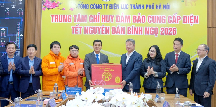 Bảo đảm cung cấp điện an toàn, ổn định, liên tục phục vụ Nhân dân Thủ đô trong dịp Tết- Ảnh 2.