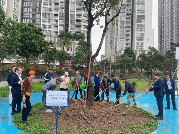 Phường Cầu Giấy phát động Tết trồng cây, chung tay kiến tạo đô thị xanh bền vững- Ảnh 1.