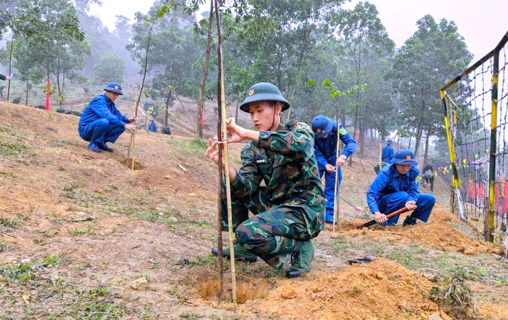 Regiment 692 launches tree planting festival- Ảnh 3.