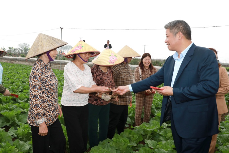 Phó Chủ tịch UBND Thành phố Nguyễn Mạnh Quyền kiểm tra, động viên sản xuất đầu Xuân Bính Ngọ 2026- Ảnh 4.