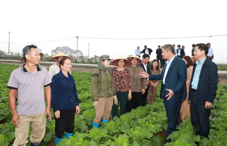 Phó Chủ tịch UBND Thành phố Nguyễn Mạnh Quyền kiểm tra, động viên sản xuất đầu Xuân Bính Ngọ 2026- Ảnh 1.