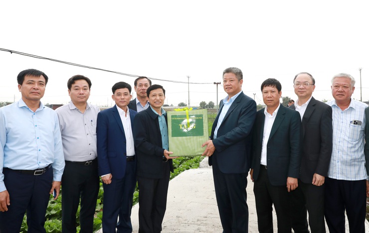 Phó Chủ tịch UBND Thành phố Nguyễn Mạnh Quyền kiểm tra, động viên sản xuất đầu Xuân Bính Ngọ 2026- Ảnh 5.