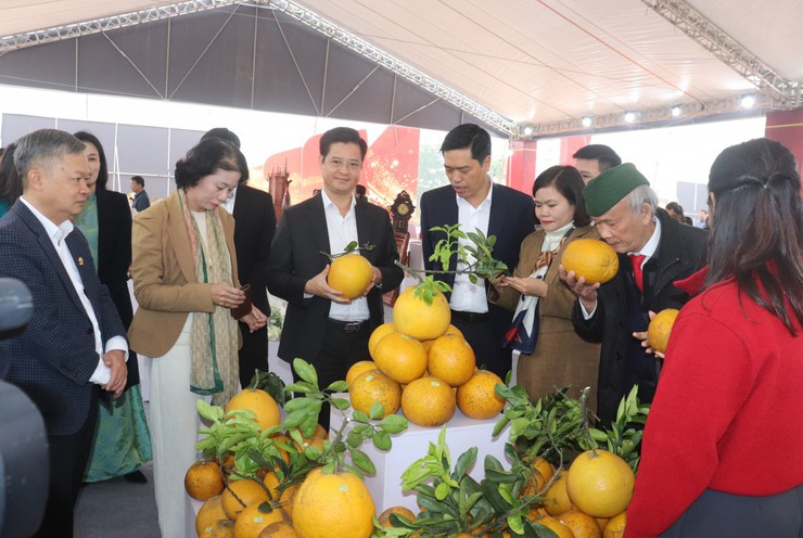 Hà Nội tổ chức không gian trưng bày sản phẩm tiêu biểu gắn kết Hội chợ hoa xuân Tết Bính Ngọ 2026 - Đẩy mạnh quảng bá hàng Việt- Ảnh 2.