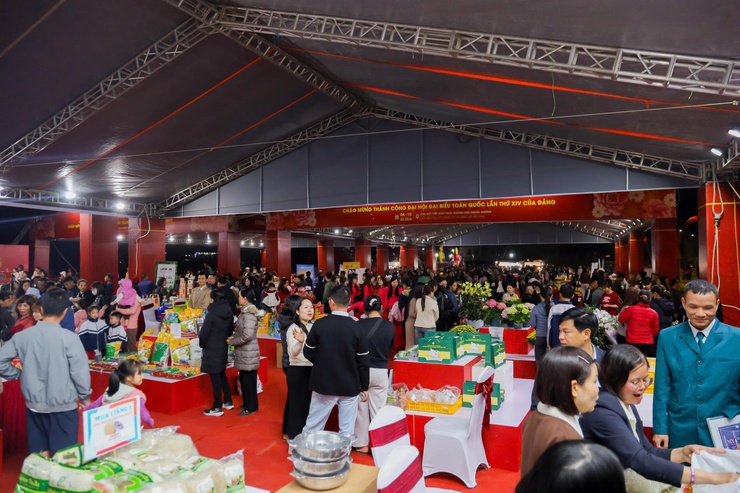 Khai mạc không gian trưng bày sản phẩm thương mại tiêu biểu, gắn với Hội chợ hoa Xuân Bính Ngọ xã Kiều Phú- Ảnh 10.