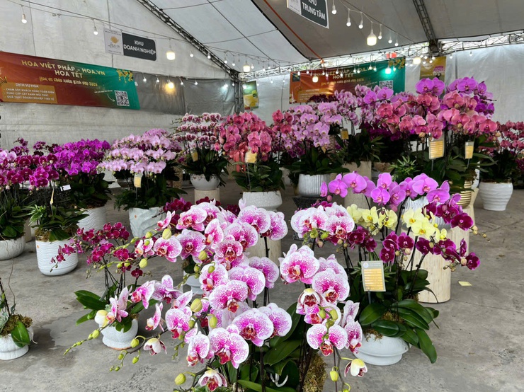 Đưa sản phẩm làng nghề, hình ảnh quê hương Đông Anh đến du khách- Ảnh 2.