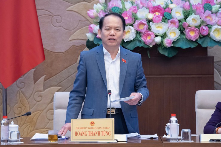 Draft revised Capital Law ready for National Assembly Standing Committee review and feedback- Ảnh 2.