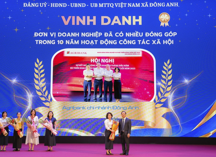 Đông Anh: 10 năm công tác xã hội tạo nền tảng an sinh bền vững- Ảnh 9.