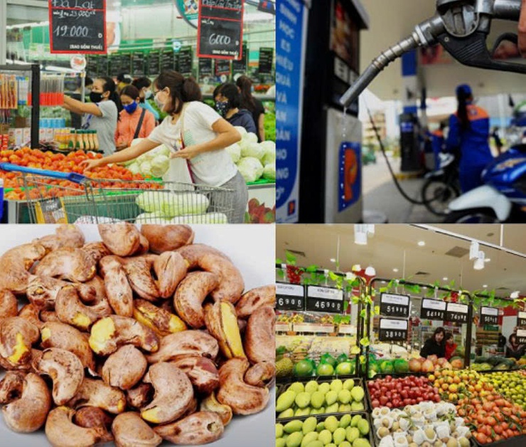 Tin tổng hợp tháng 3/2026 – Lĩnh vực Tài chính công- Ảnh 1.