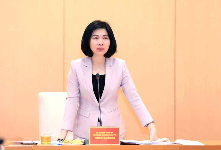 Tập trung rà soát, xây dựng các nội dung trình tại kỳ họp chuyên đề HĐND Thành phố đảm bảo tiến độ, chất lượng- Ảnh 7.