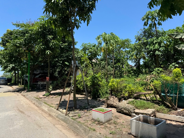 Phường Hoàng Liệt: Sự đồng thuận, phối hợp của người dân tạo nên nhiều thay đổi tích cực- Ảnh 4.