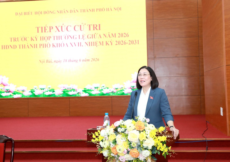 Phó Chủ tịch UBND Thành phố Bùi Duy Cường tiếp xúc cử tri đơn vị bầu cử số 31- Ảnh 3.