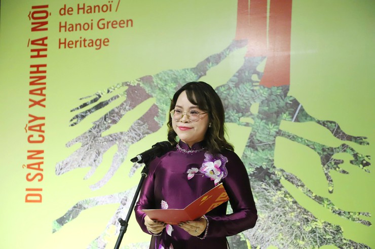 Khai trương Triển lãm “Cây Hà Nội - Những bức ảnh về một di sản sống” - 2