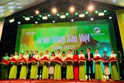 Sôi động 